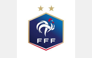 La FFF suspend l'ensemble de ses activités