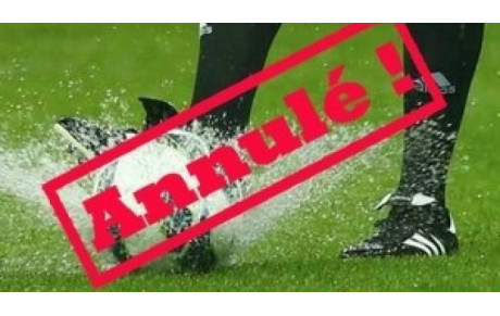 Entraînement U10/U11 du Mercredi 18/01 annulé