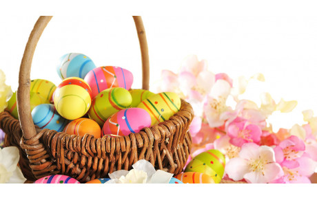 Chasse aux oeufs