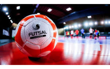 Rassemblements Futsal U6/U7 du dimanche 09 février 2020 Salle Camus 